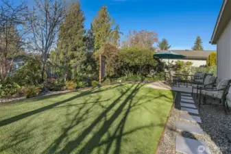 Back yard and patio with a turf lawn (No Mowing and always green!!)