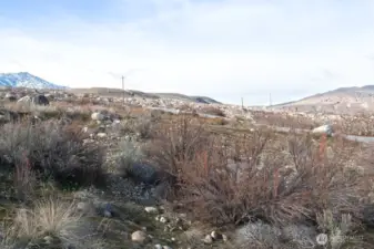 Boulders deposited here by ancient floodwaters are abundant on the surface. Prior excavations in the neighborhood indicate that there are not nearly as many below the surface - great news for site work!