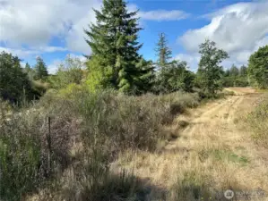 Chehalis Riverfront Property - Peaceful and serene.