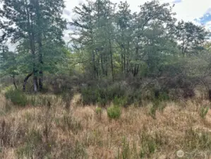 Cattle were raised here in the past.