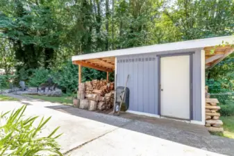 Durable tool and wood storage shed with a newer roof
