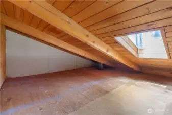 Loft with skylight. Storage or a secret hideaway?