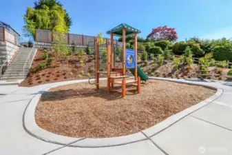 Community Park