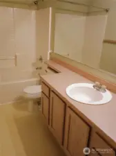 Main Bath