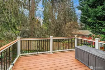 Deck off the Kitchen