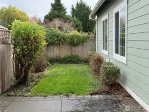 Patio and backyard
