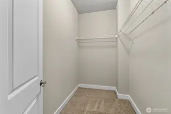 Spacious walk in closet.