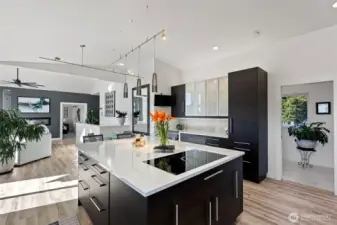 What's not to love about an induction cook top with a built in high powered down draft and easy to clean filter system?