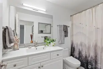 lower (main level) Full bath.