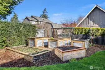 Back yard partially fenced with physical fence and partially fenced with a hedge co-maintained with a neighbor.