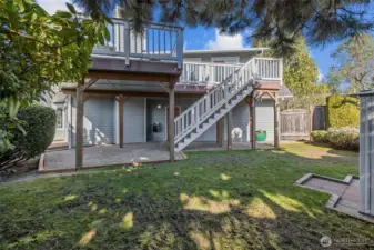 Backyards plenty for all possibility