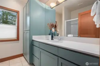 Main floor bath walk-in shower.