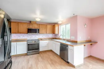 Stainless steel kitchen appliances all stay with home!