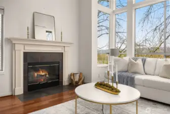 gas fireplace in the living room