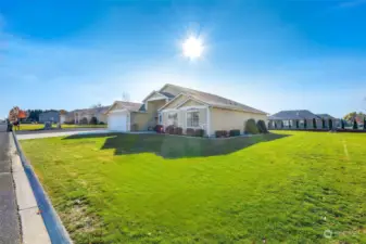 How about a game of badminton on this large lawn?