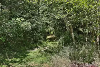 Enjoy the trails. You have the benefit of open space with surrounding woods.