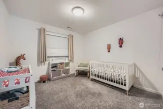 Another spacious bedroom with a walk-in closet.