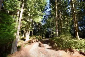 circular drive from house