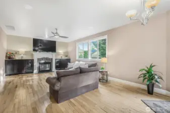 Living are with Fire place