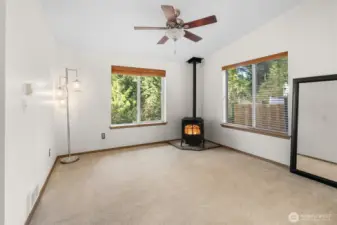 Newer pellet stove for cozy living