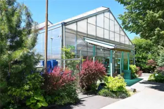 A favorite nursery (great Noble Christmas trees) along with the hot apple cider.