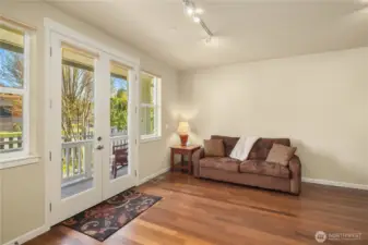 Another view of the lower level bonus room.