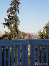 Olympic Mountain range views!