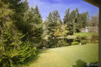 Lovely neighborhood pond