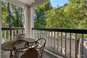 Slider off the living room area to the private, covered deck. Sit out here and listen to the birds, watch the squirrels play or just enjoy the moment. Your view is the wooded, greenbelt area across the driveway. No looking at another unit or people. This is a "rare" feature for condo living.