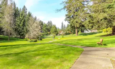 Home Overlooks This Lovely Park and Walking Trail