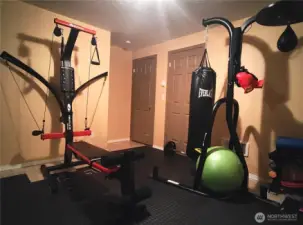 bedroom gym pic 1