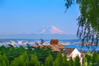 And of course Mt. Rainier!