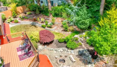 Backyard Aerial