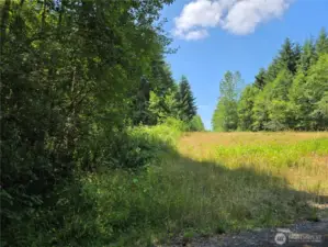 The Left side of this picture is the property, and this is the North property line looking West. Walk along the tree-line to view the property and as you go far enough you may see Everett in the distance.