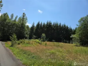 Trees in the background is our property for sale and the tree line is the North property line (east- west)
