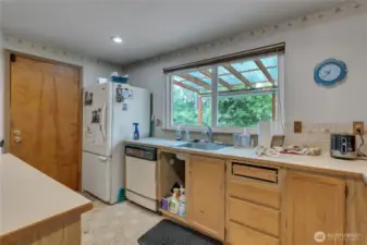 Kitchen window