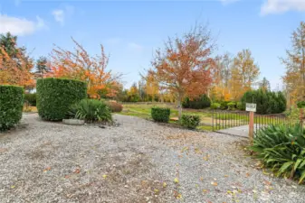 Another view of the HOA park.