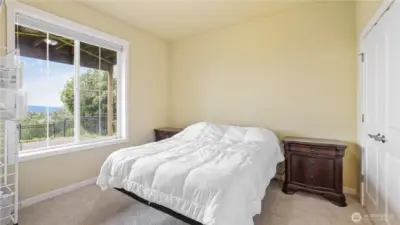 Spacious lower-level 4th bedroom featuring double closets.