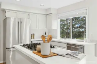 Lookout over the backyard from the kitchen sink window.