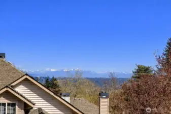 ...from the beautiful living room, these are the true views on a clear and sunny day!