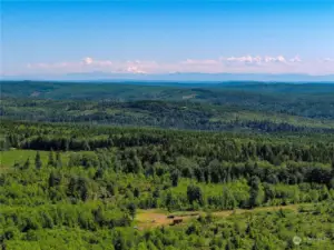 NE facing photo of the site. Still no one in the distance.