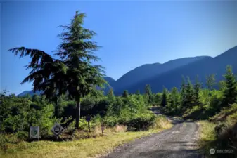 The property line at the entrance to the homestead.