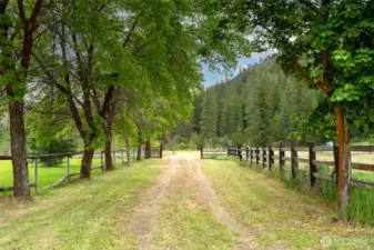 A tree-lined entry leads to the secluded property within easy access from Poorman Creek Road.