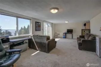 Lower level family room, cont