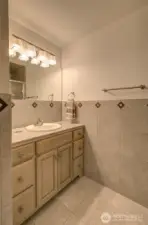 Lower level 3/4 bath