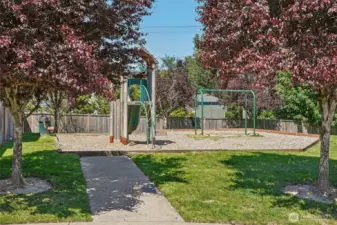 Community Park