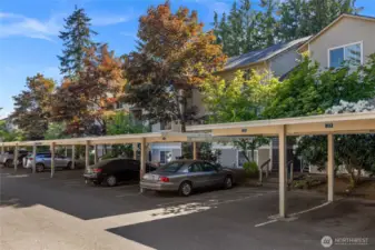 Welcome to this 3-bedroom/2 full bathroom, ground floor end unit with updates in the most quiet and private location at the Camlyn Condominium community. Building "B" is located at the back northwest corner with no drive through traffic and away from the arterials.