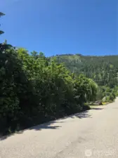 Trees line the edge of Ranger Road on the north side of the property. Wonderful privacy and area boundary.