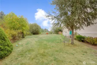 Backyard 2