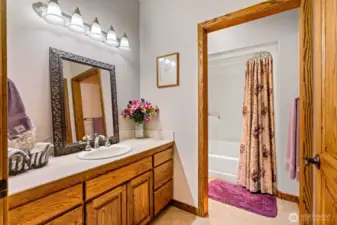 Guest Bathroom 2